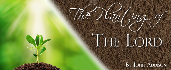 The Planting of the Lord